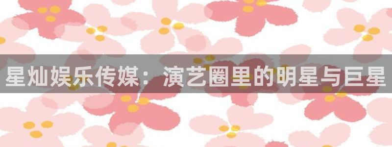 新航娱乐登录地址：星灿娱乐传媒：演艺圈里的明星与巨星
