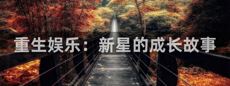 新航娱乐登录地址：重生娱乐：新星的成长故事