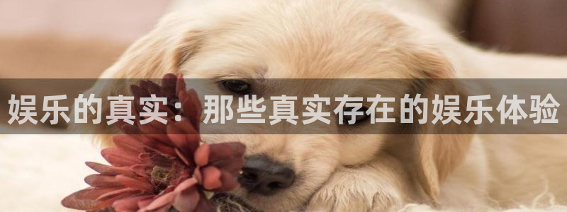 新航娱乐注册：娱乐的真实：那些真实存在的娱乐体验