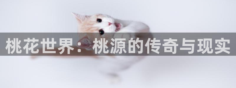 upload/20250701114914.jpg