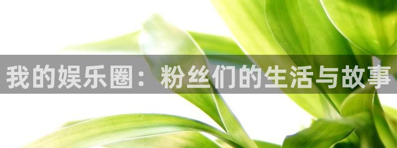新航娱乐官网登录入口：我的娱乐圈：粉丝们的生活与故事